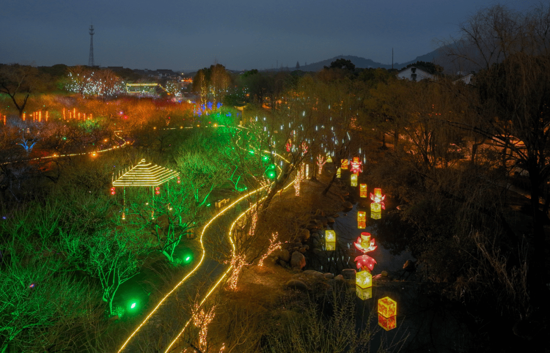 香雪海梅花进入最佳观赏期!_太湖_白梅_盆景