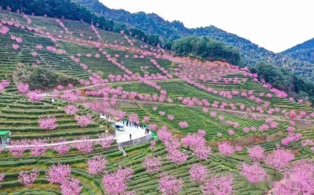 梅州雁洋旅游景点图片