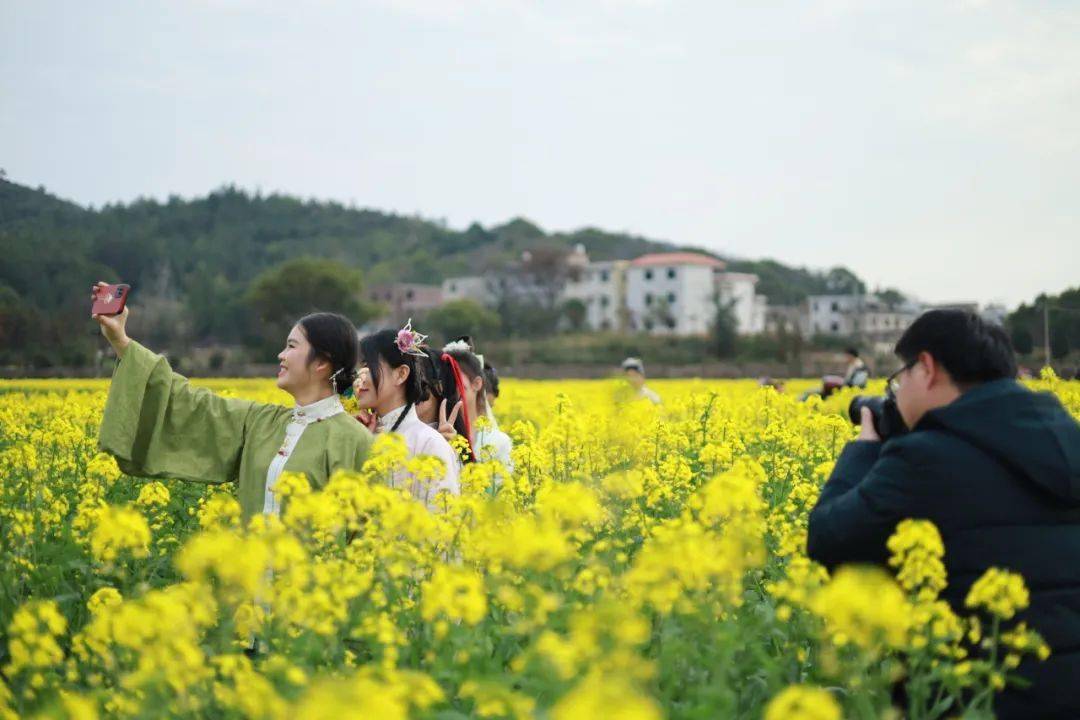 信豐各地油菜花盛開,等你來賞!_大阿鎮_水村_西牛鎮