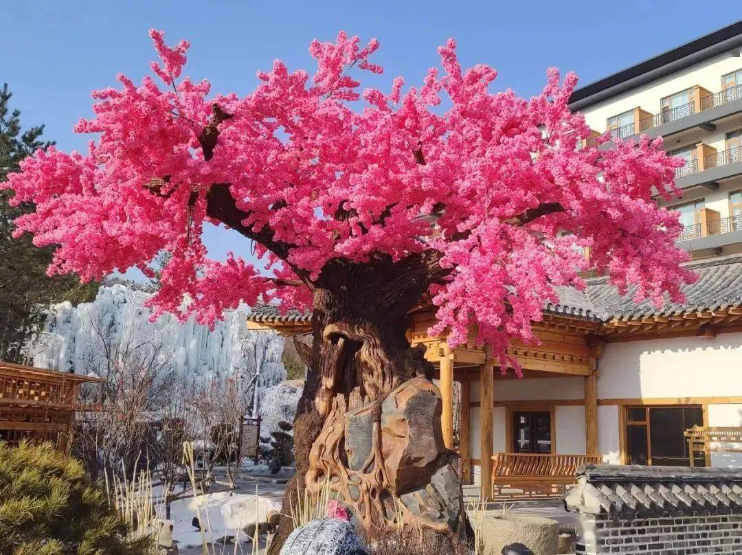 二月玩转延边美景--龙井市!