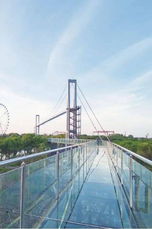 开心休博园位于镇江江中宝岛世业镇,园区游乐设施先进齐全,动物园动物