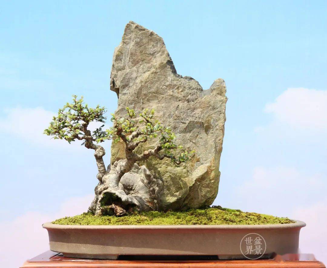 包石,抱石_cm_作品_榆树