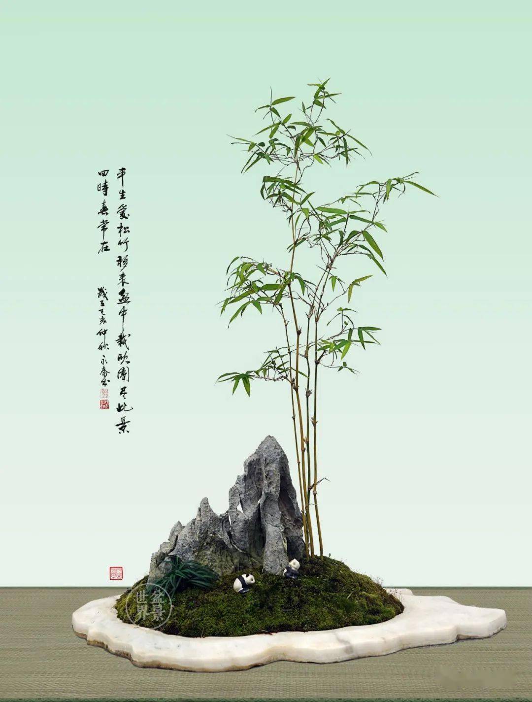 竹子告诉你,什么叫价值_郑永泰_作品_盆景