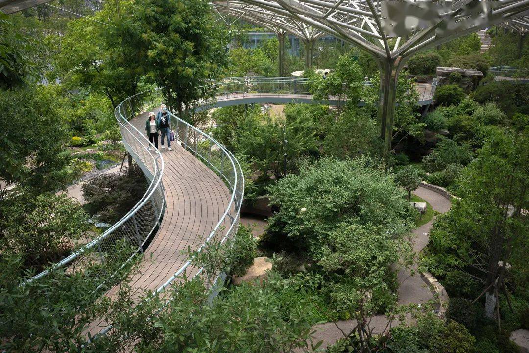 废弃采石场变身植物花园 | 第11届江苏园博园未来花园_矿坑_旅游_条件