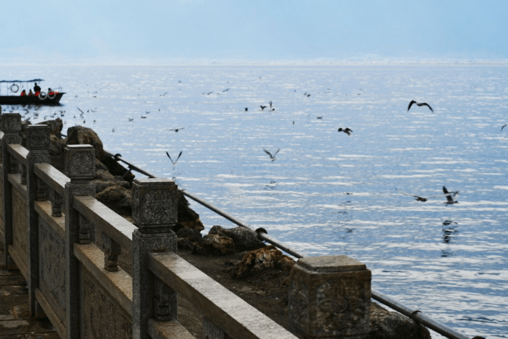 摄影:@设计与艺术学院-周馨怡大理烟雨笼罩下,半山的白雾低头含笑阳光