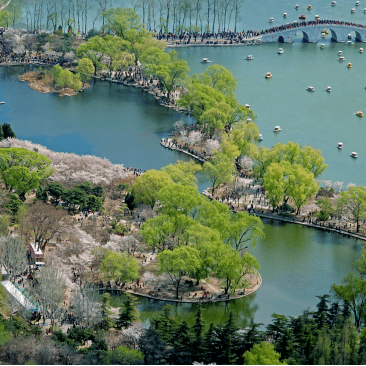 �������˱�����һĨ������ɫ