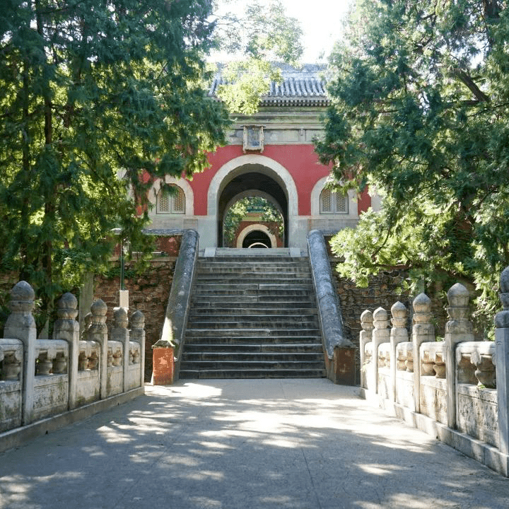 �������˱�����һĨ������ɫ