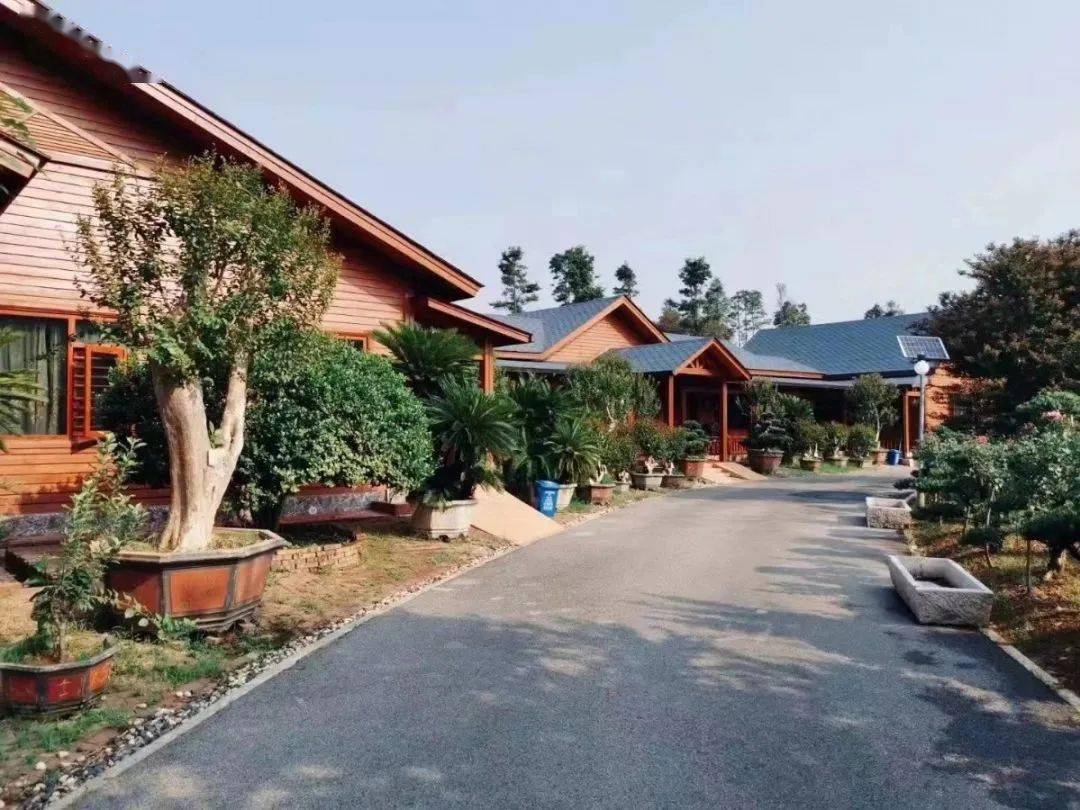 长兴湖公园,西湖山,道吾山踏青登山→菊花石公馆赏菊花石→浏阳院子