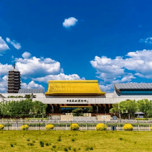 �������˱�����һĨ������ɫ