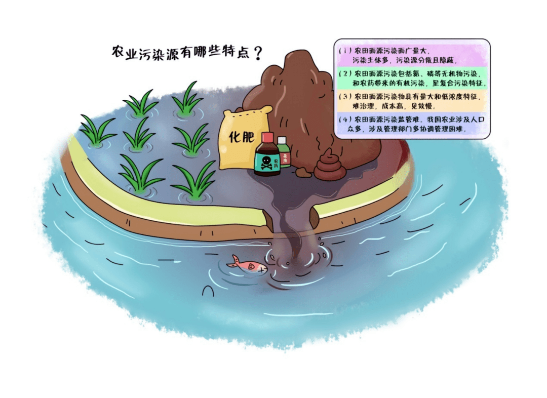 知识科普(水系列)| 水环境——城市污染源有哪些特点?_径流_农业_降雨
