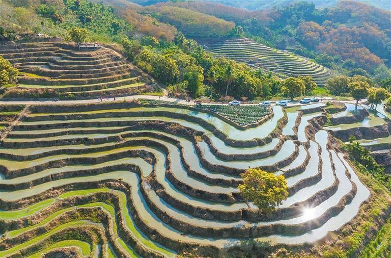 春来梯田如诗画 踏着春色来一场梯田游_丘陵_中国_世界