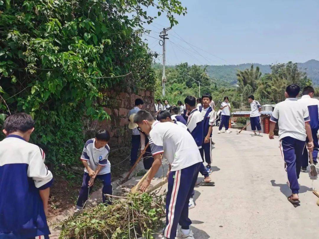 【绿美景谷】正兴镇积极推进"绿美校园"建设_工作_活动_绿色