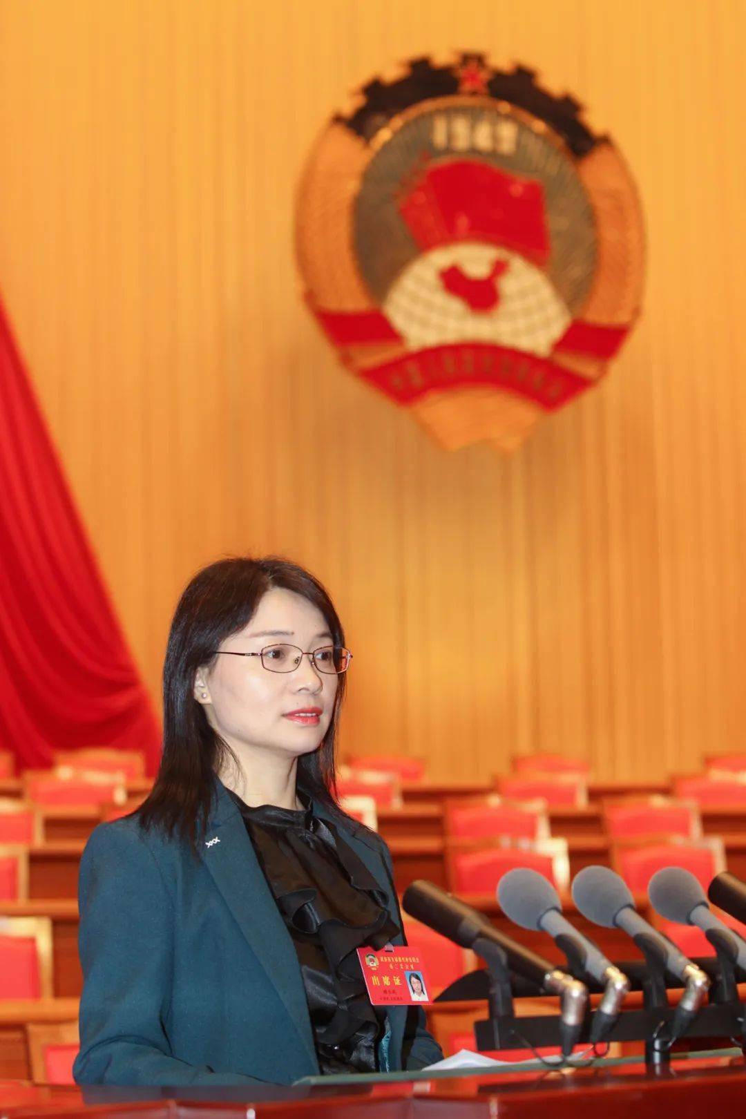 市政协九届二次会议举行第二次全体会议 听取委员大