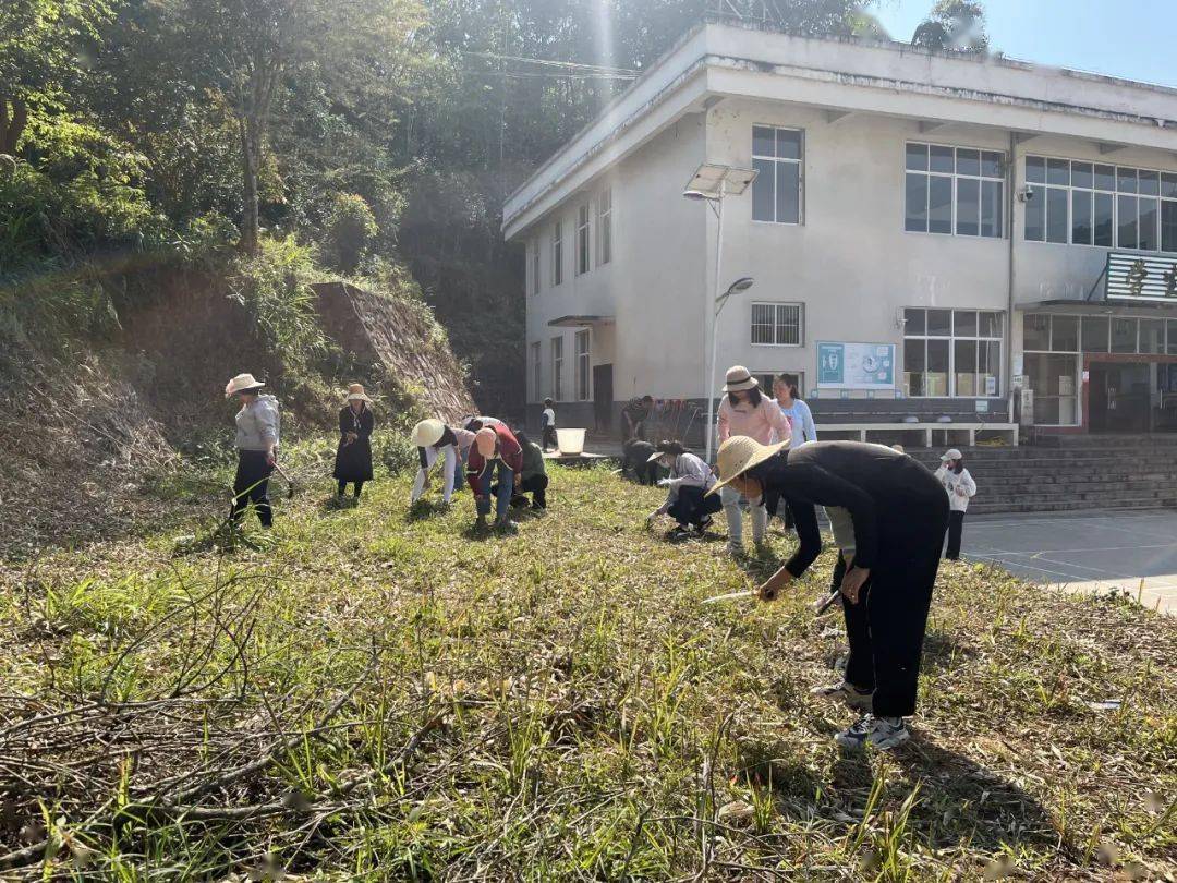【绿美景谷】正兴镇积极推进"绿美校园"建设_工作_活动_绿色