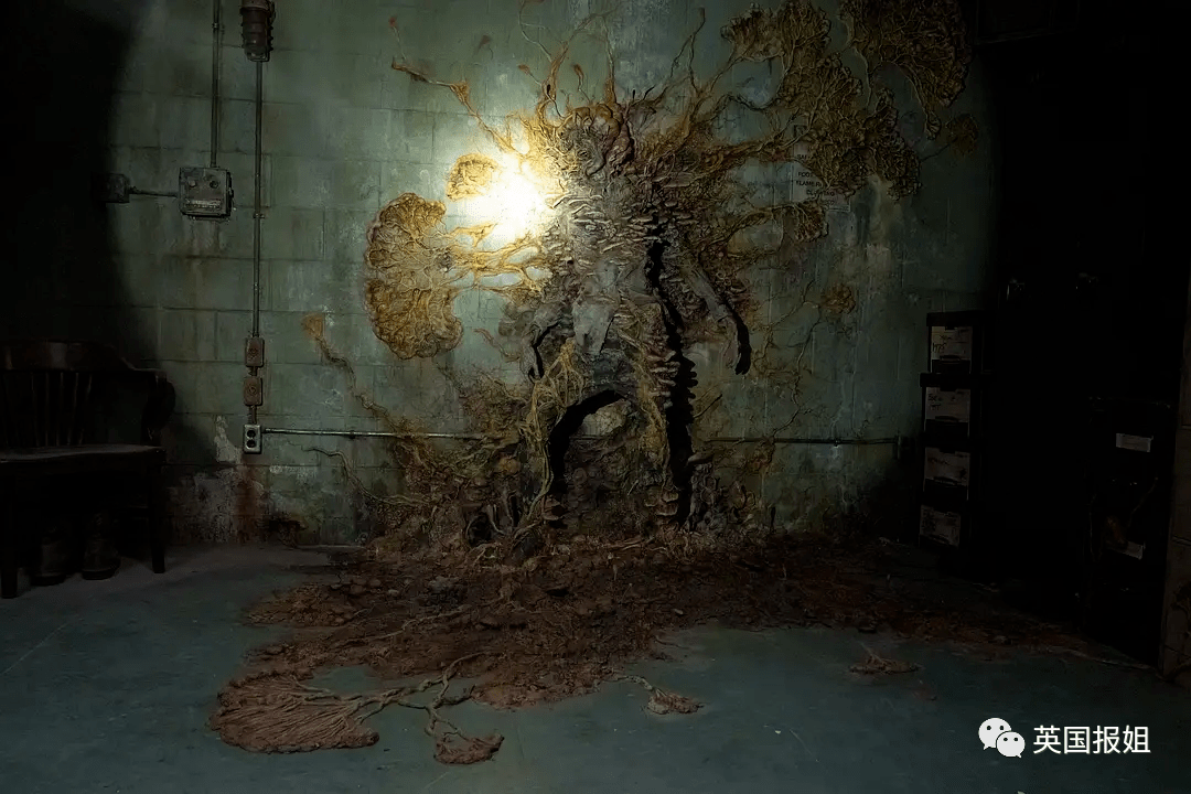 实菌入侵人体，恐惧丧尸袭城…那部爆火末日惊悚片竟看哭全球网友？