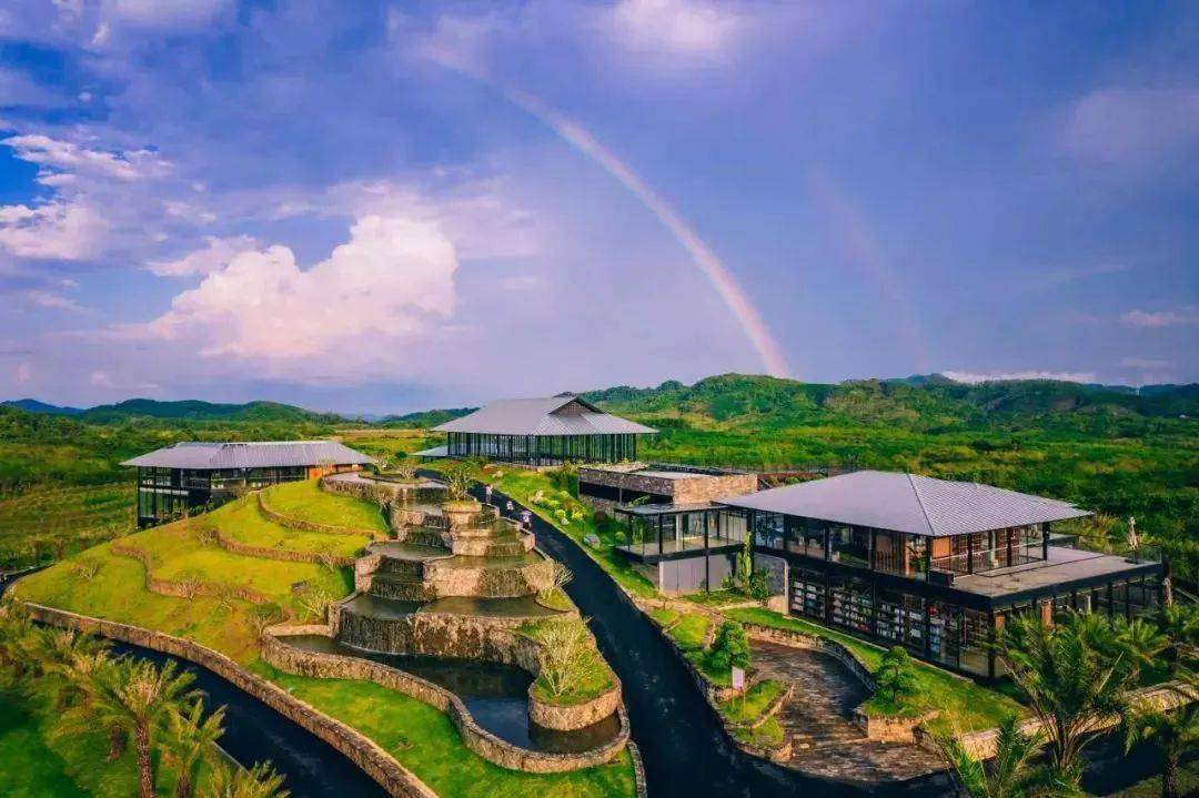 海南这个共享农庄找到全国独特的发展模式_热带_种植_农业