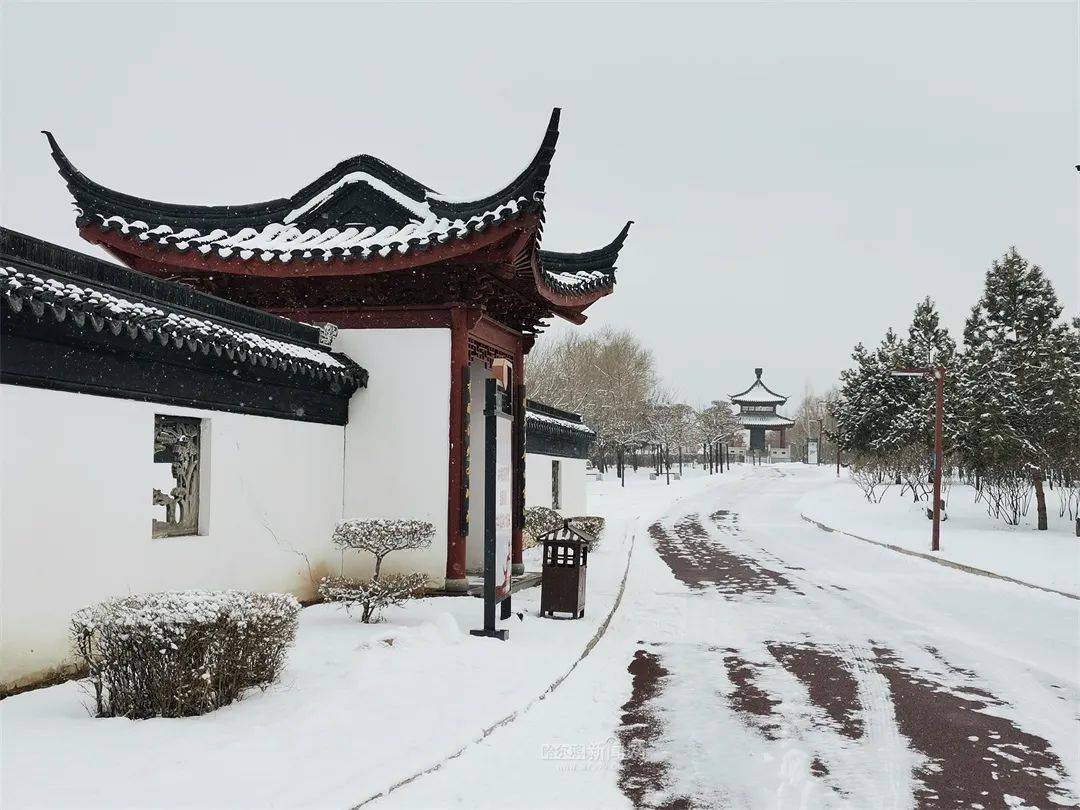 三月的雪花能够有多都雅