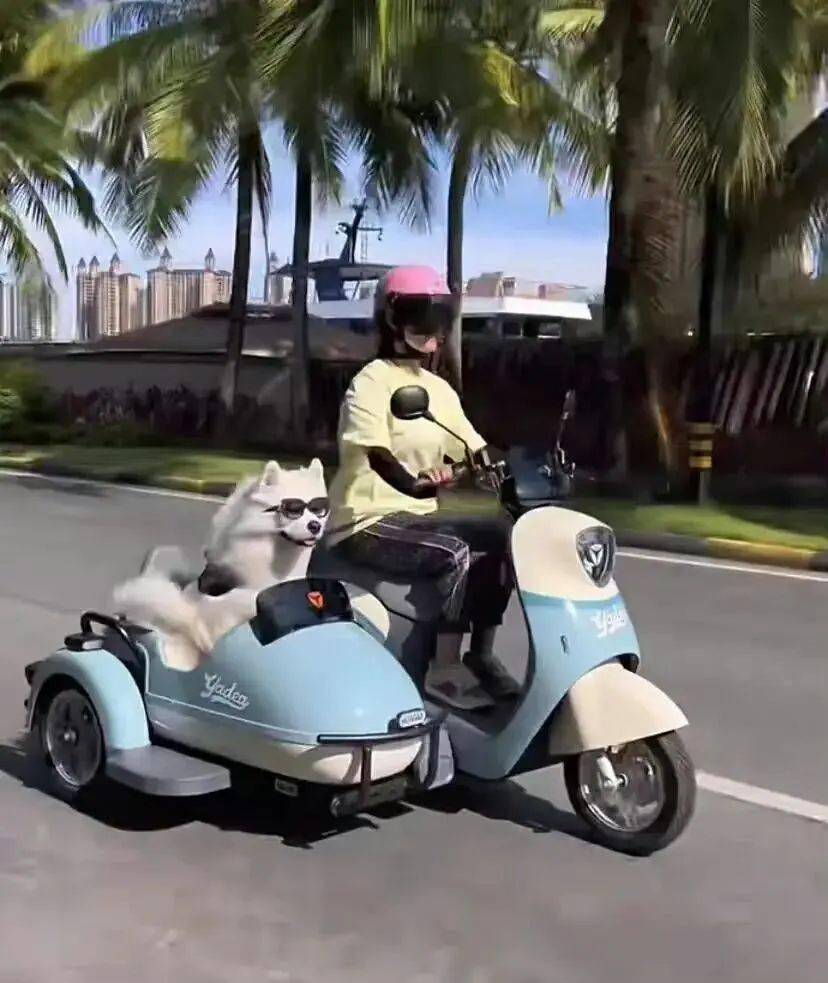 三轮承载太君四轮承载肉体两轮承载灵魂整活还得看网友高配送大佐中配