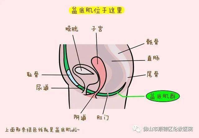 关爱女性,健康约惠,伦教医院妇产科义诊及健康福利