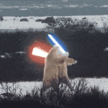 30��ȫ��������������ѡ��Ĵ�ѧ��ѧ����ס���ޣ�˭��Ľ ...