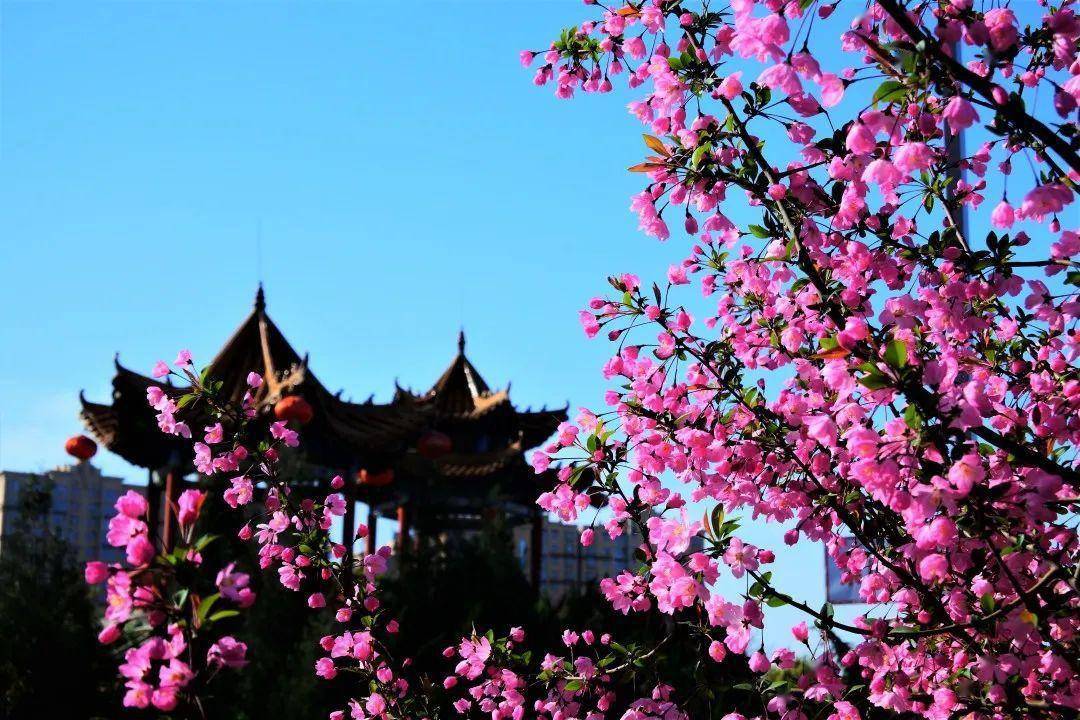 驻马店植物园图片