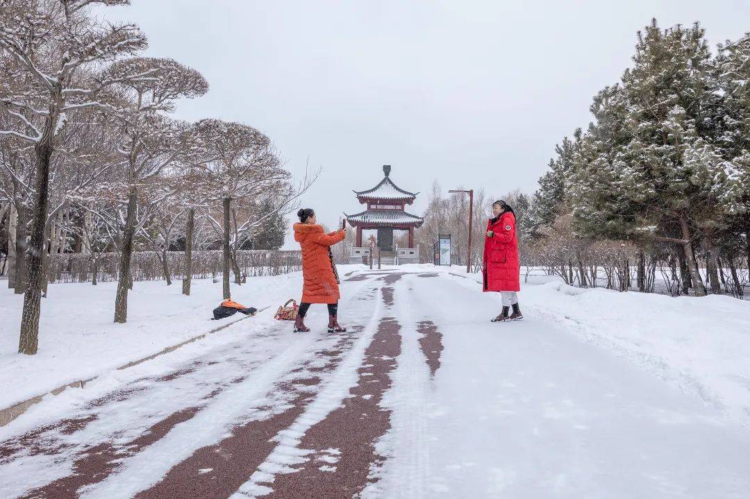 三月的雪花能够有多都雅