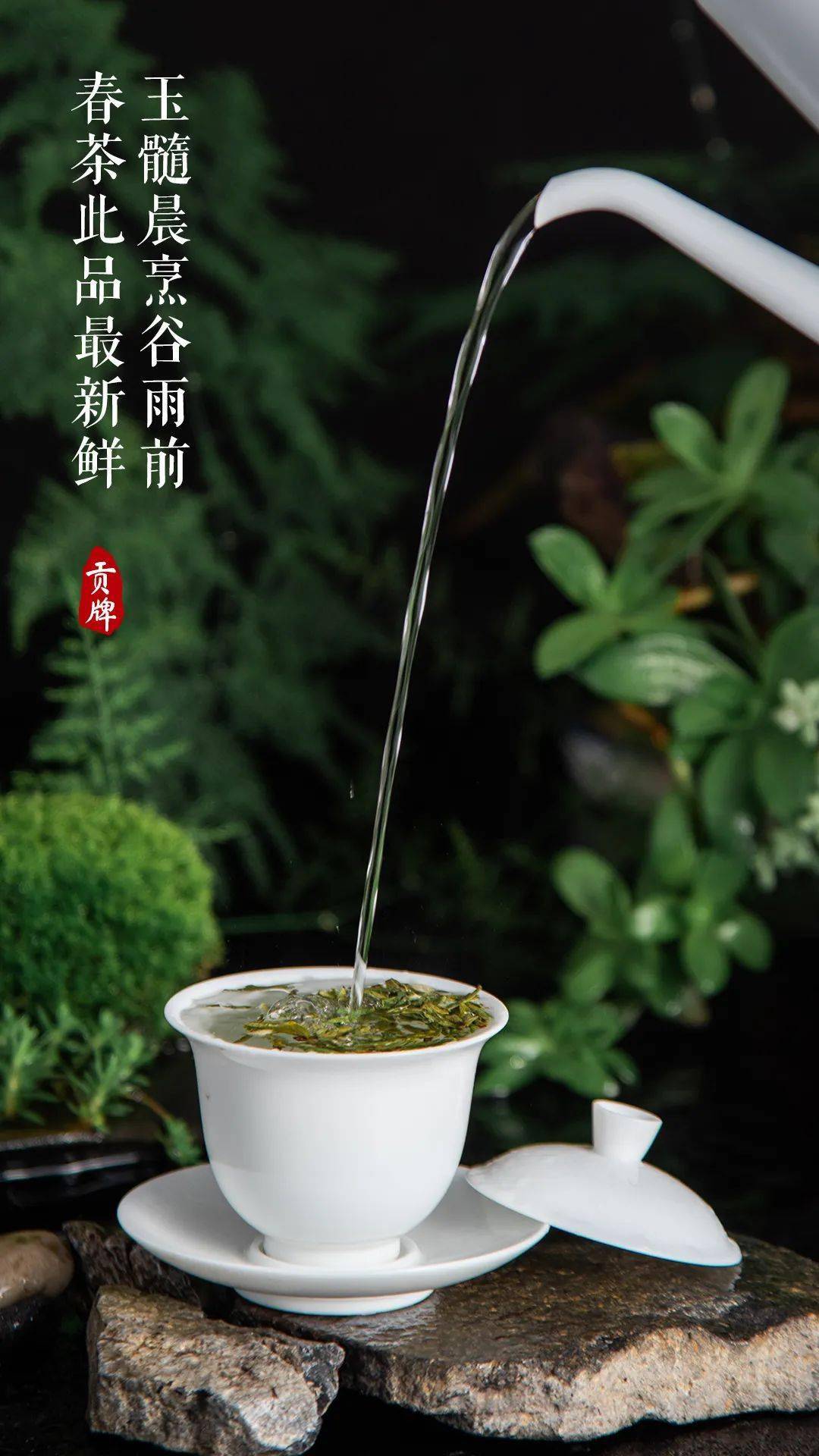 万众期待的西湖龙井即将上市!