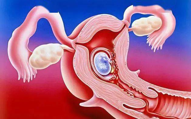 关于人流手术,你要清楚这几点,以免落下病根~_时间_女性_清宫