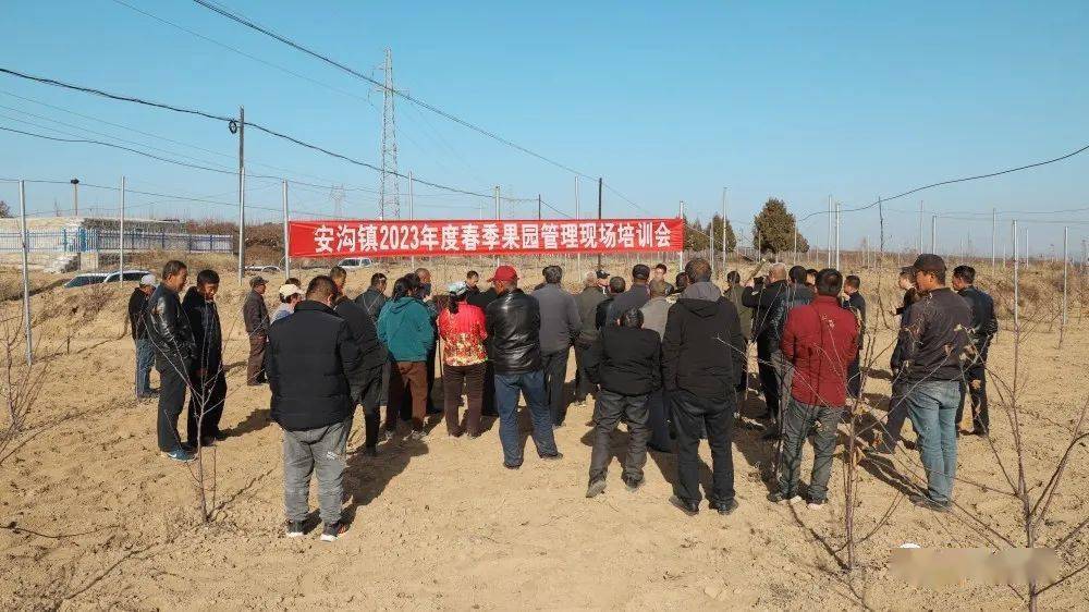 奋进的春天丨延长县安沟镇:扎实开展春季果园管理 助力乡村振兴_培训_