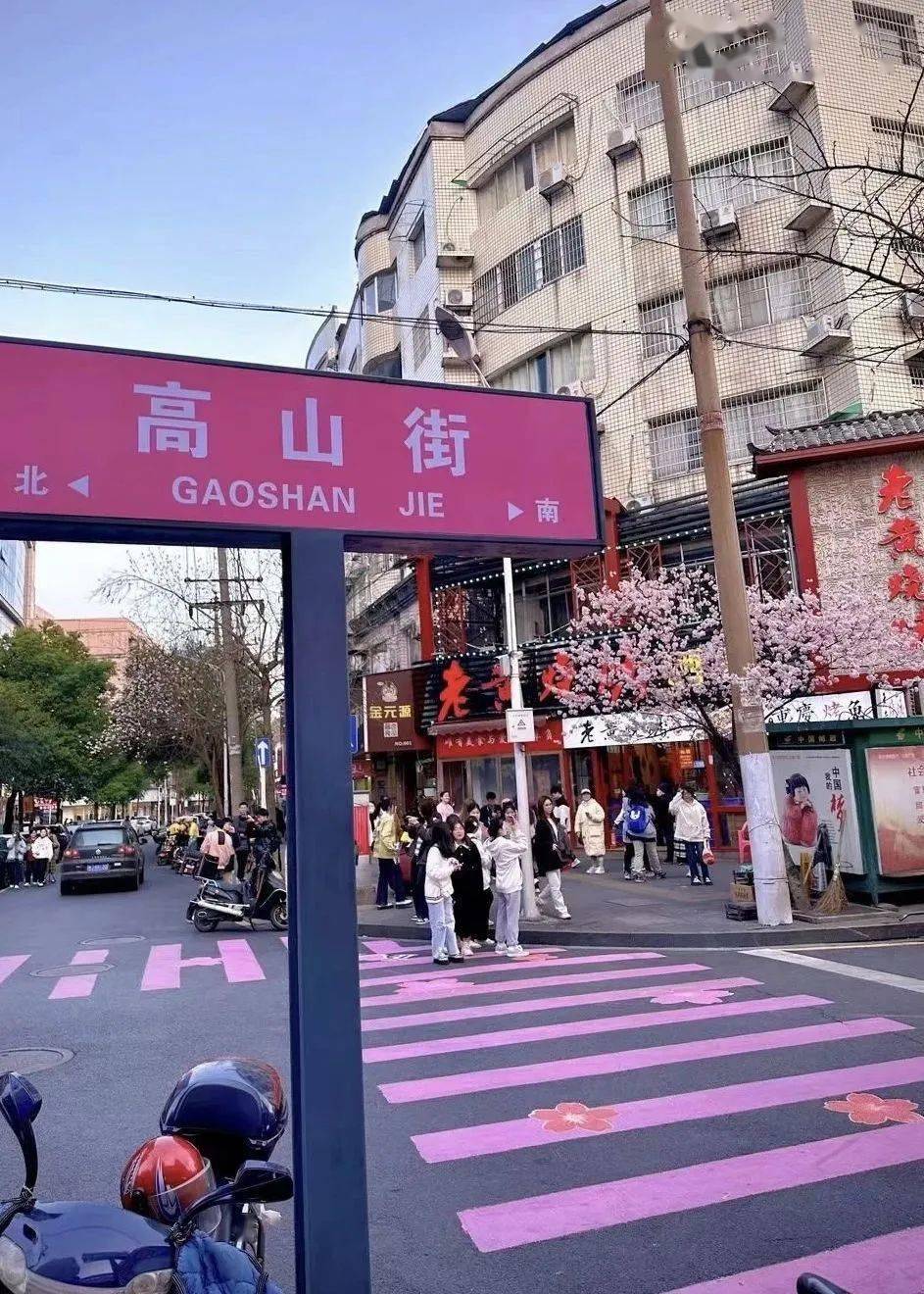 常德高山街樱花已上线,快去打卡拍照吧!_白居易_花瓣_花枝