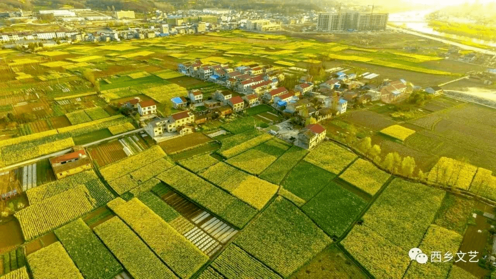 西乡县柳树镇飞机场图片