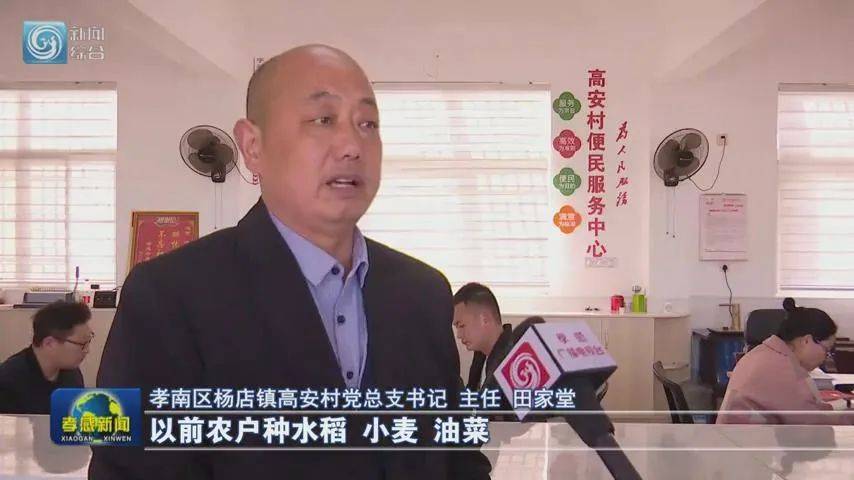积极建言献策 服务乡村振兴_孝感市_农户_杨店镇
