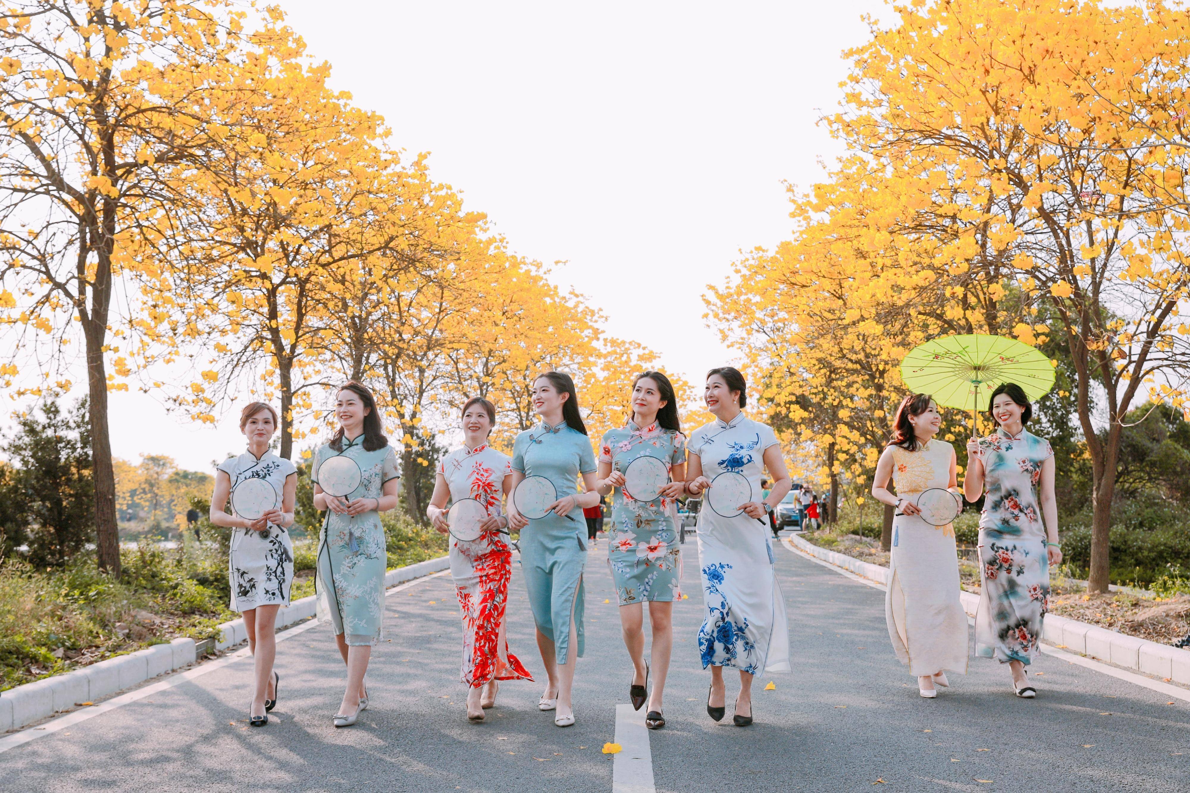 【视频】花朝如约，花都赤坭黄花风铃赏花节来啦！