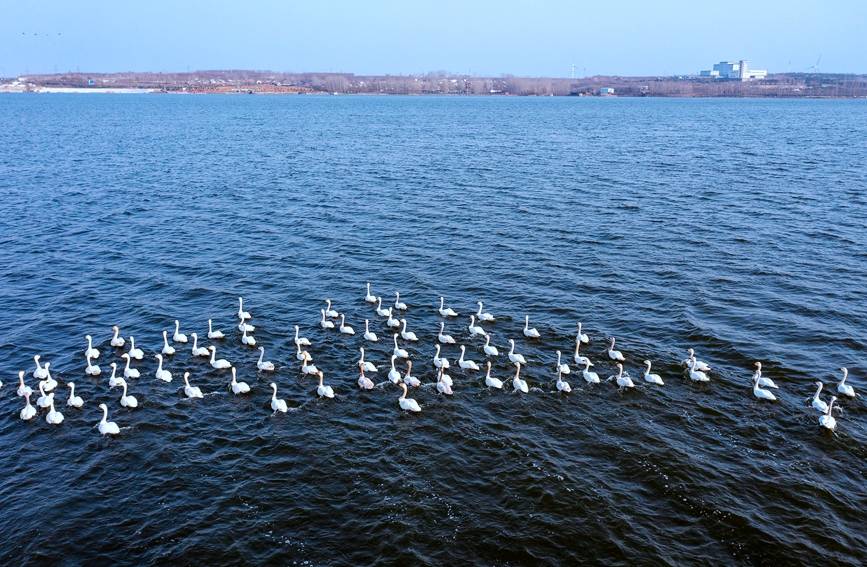 汤河湿地公园图片图片