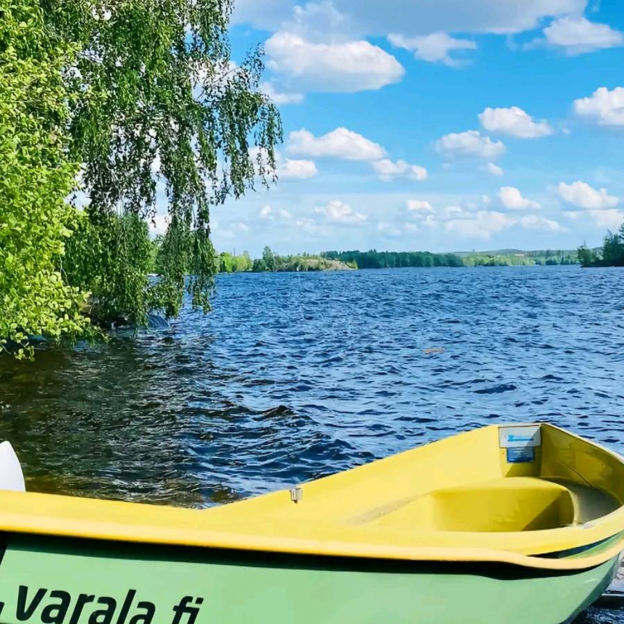 Python爬虫WinForm自动化数据采集工具开发指南_程序_conn