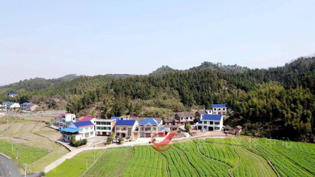 【实干宣言】酒埠江镇白石冲村党总支书记易忠:坚定不移实施好乡村