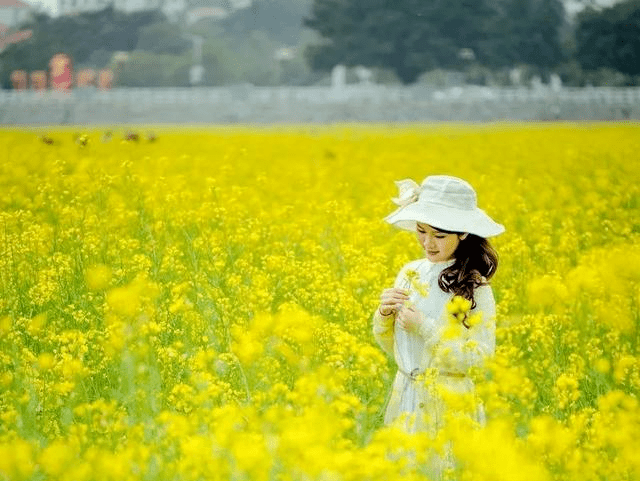 女神节出游 | 十里蓝山以花之名，邀女神共赴花事~