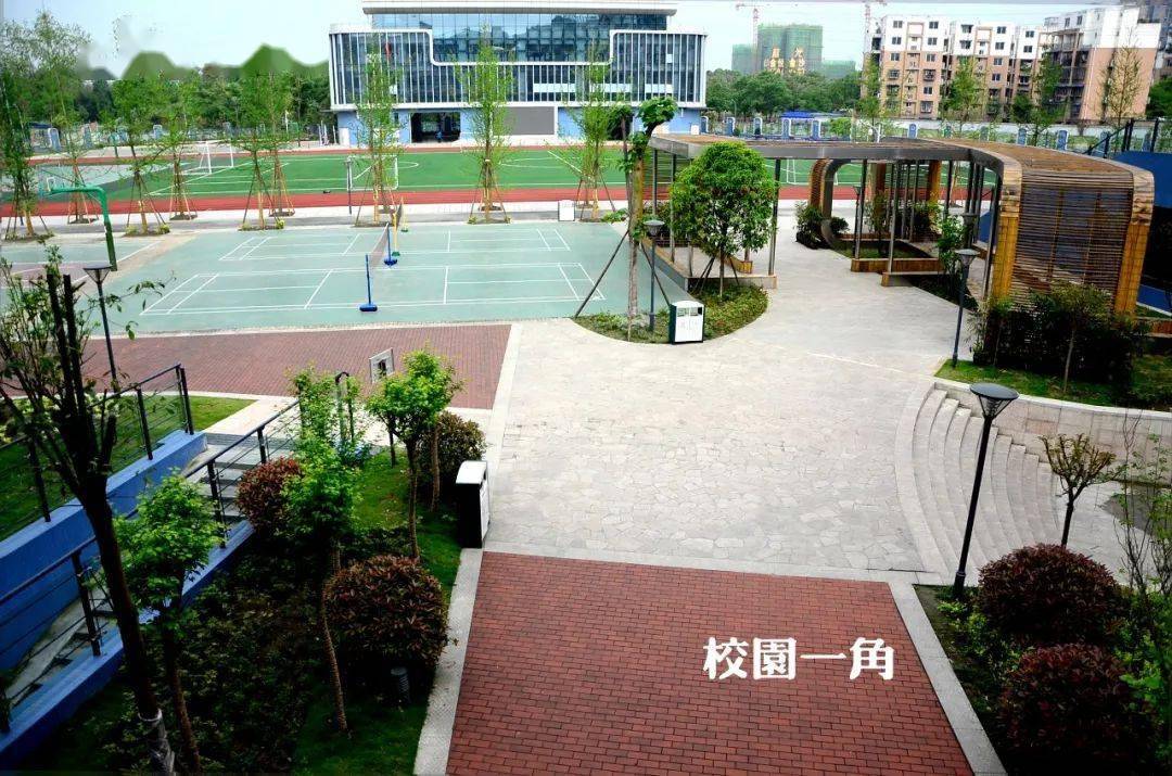 【文明典范城市】成都市文明校园:成都市泡桐树中学_课程_发展_文化