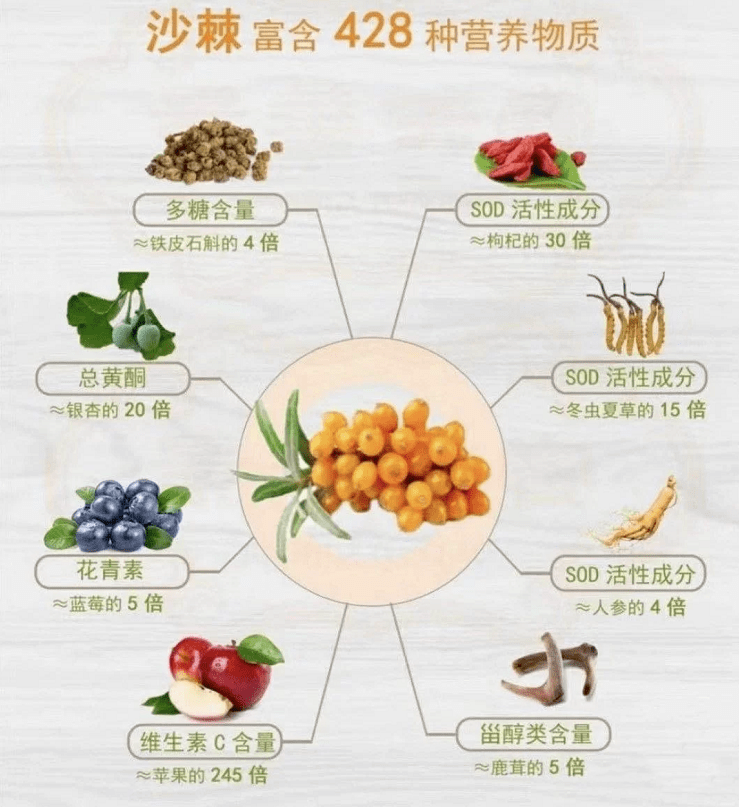 沙棘中已发现428种营养活性成分,被誉为全世界"最完美的植物",浑身都