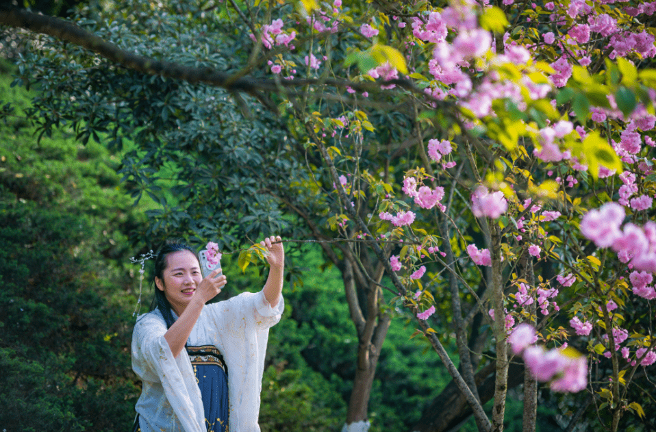 不克不及错过花花的世界 重庆园博园开启赏花季！