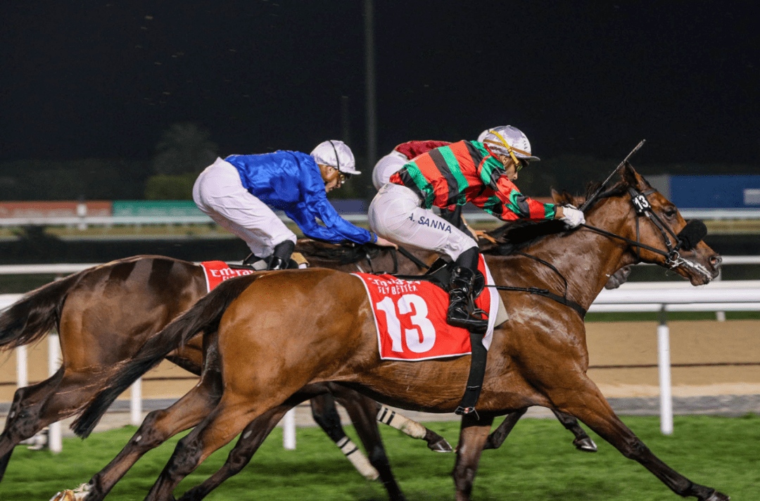【赛马】"将王"出战杜拜杰贝哈特锦标以佳势追入第五名_多巴_预期_一