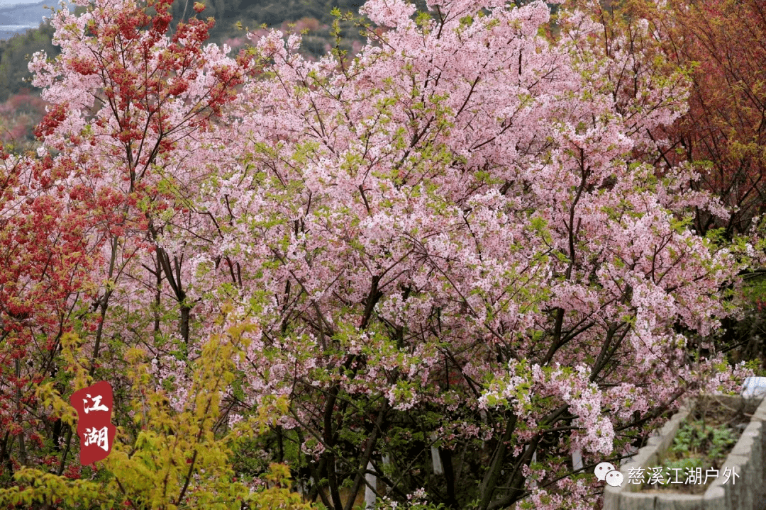 三月团队推荐