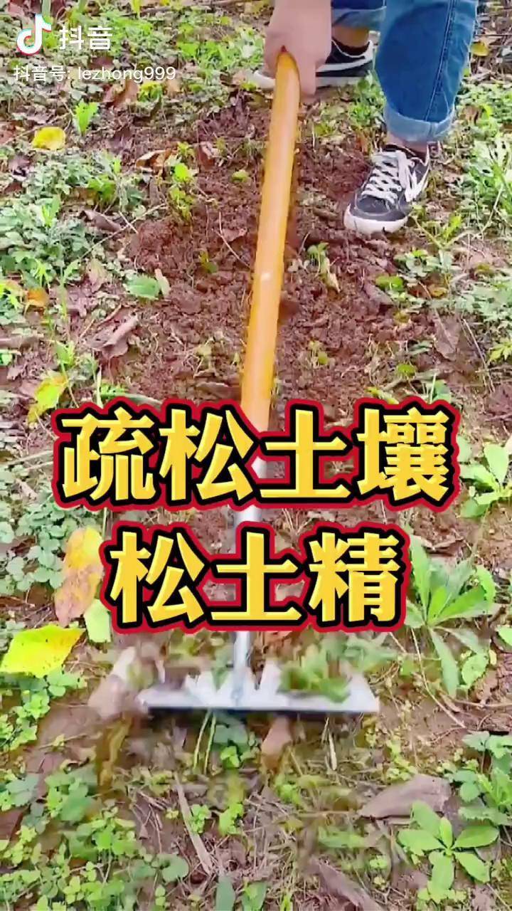 松土精 土壤改良 种植