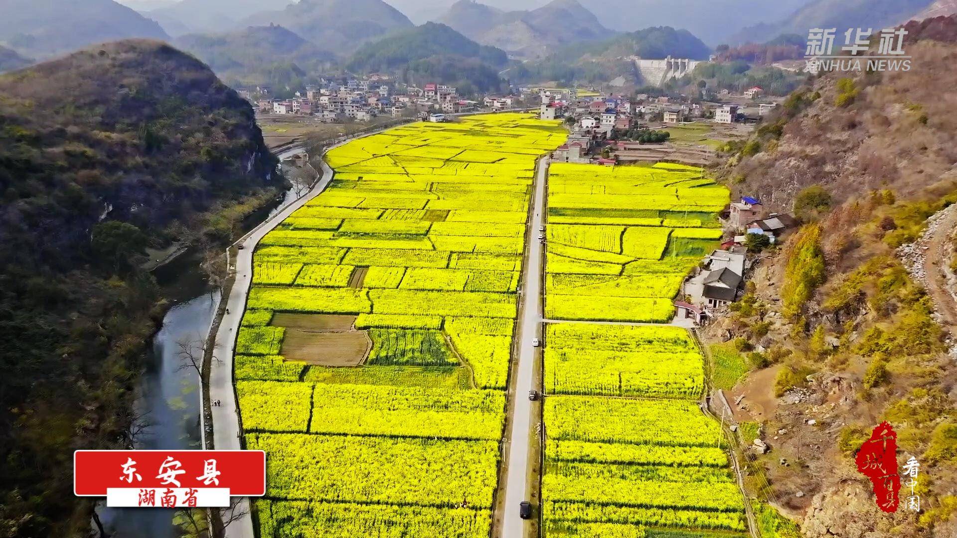 千城百县看中国｜花朵盛开满目春