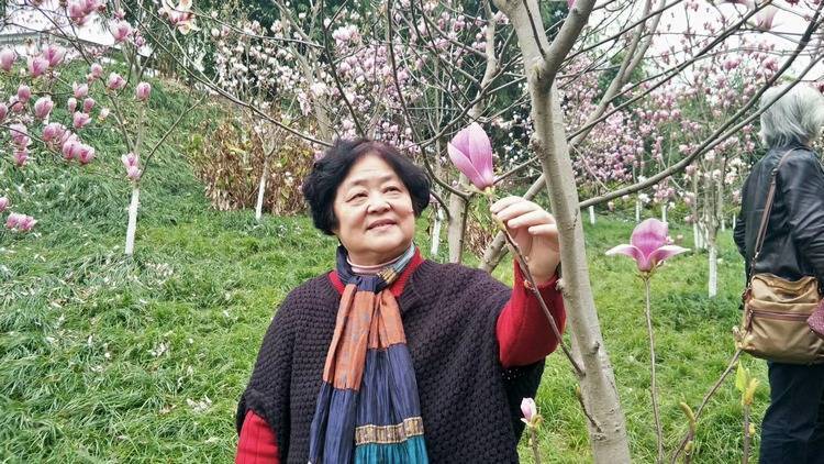 夜雨丨郑劲松：西南大学的校花开了