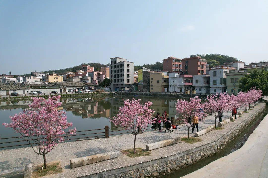 "汤塘镇温泉古村乡村振兴示范带成效初显_建设_发展_种植