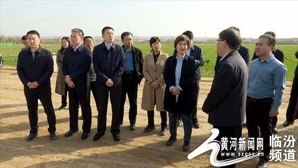 省农业农村厅副厅长茹栋梅在曲沃县调研春季农业生产工作