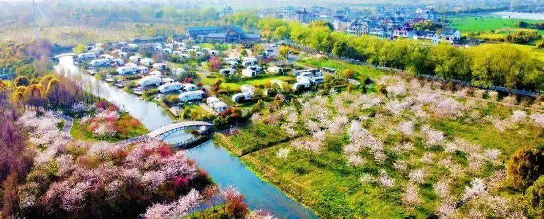 盐官芳草地房车营地丨春游樱花林套餐_钱塘_赏樱_百里