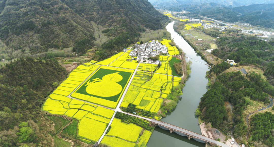 淮南西出口下——沿臥龍山路(g327)到八公山鄉郝圩村(廉頗墓附近)花期