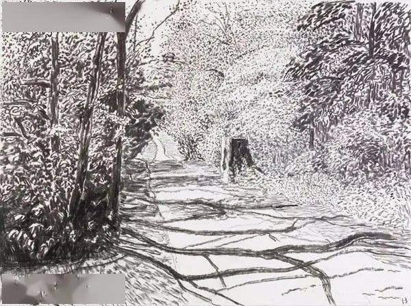 最著名的英国在世画家,霍克尼的风景素描